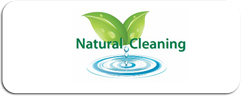 naturalcleaning image